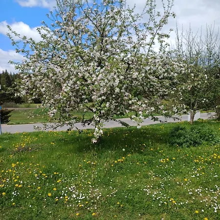 Ferienclub Erlenbruck