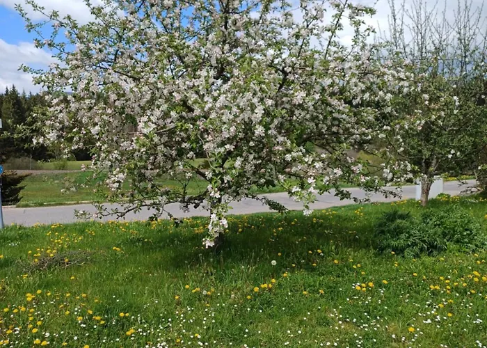 Ferienclub Erlenbruck